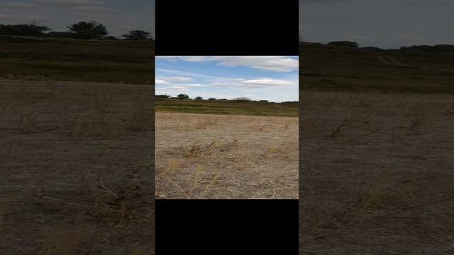 Станислав Морозов/красный сын