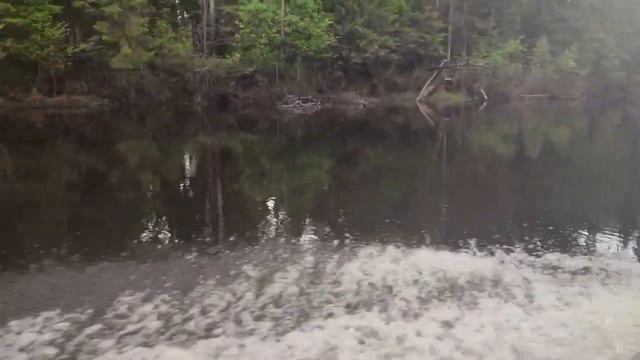 733fca83ed195bc34b98c3e2978c0acb