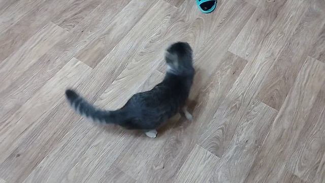 Куда бежит эта девочка?😅