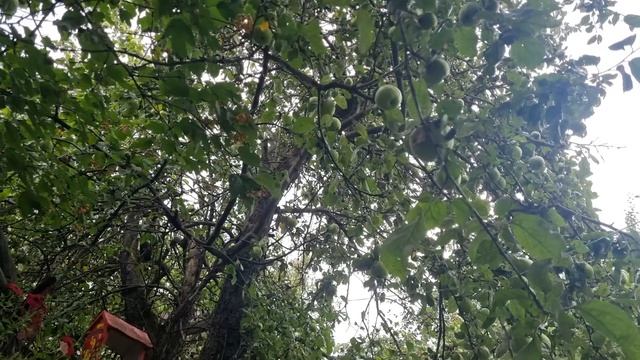 Крия Йога для трансформации страхов.