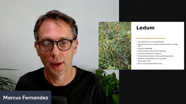 Top 7 Homeopathic Remedies For Bumps And Bruises