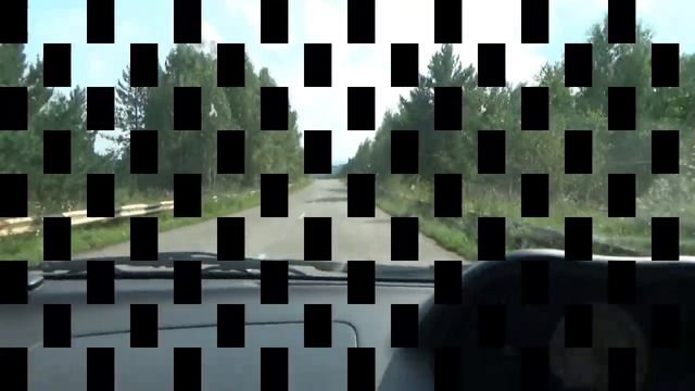 #Красноярск #грибы #грузди #кайфнаслождение #август2020 #лес #березы