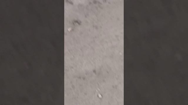 Lv_0_20230518181945.mp4