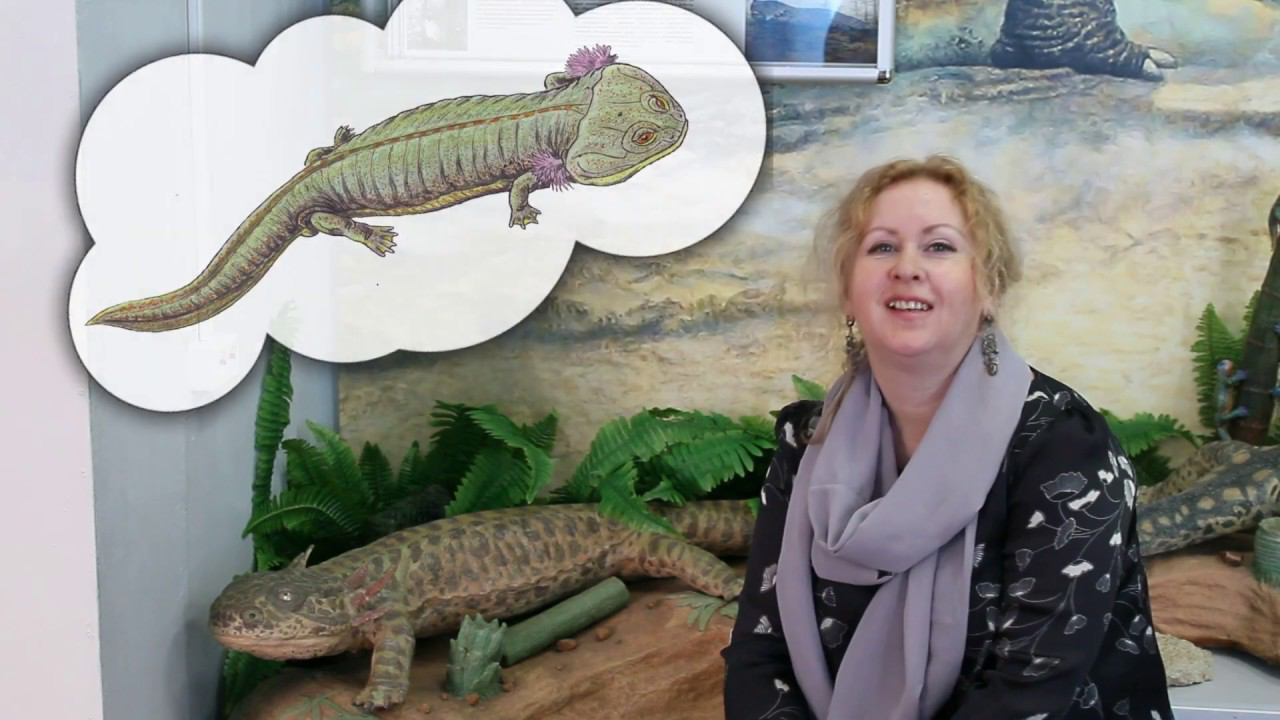 Котласский краеведческий музей