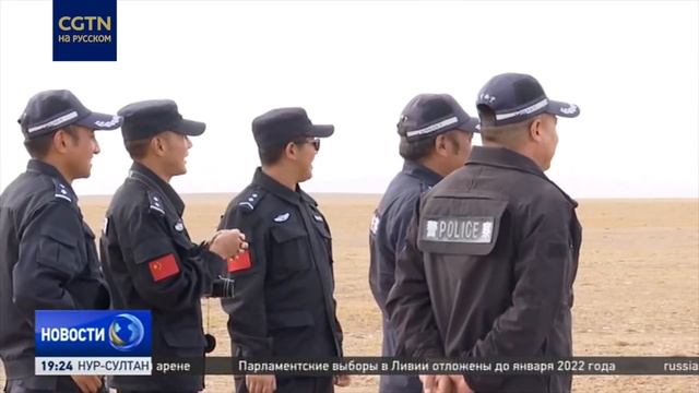 Тибетская антилопа больше не вымирающий вид