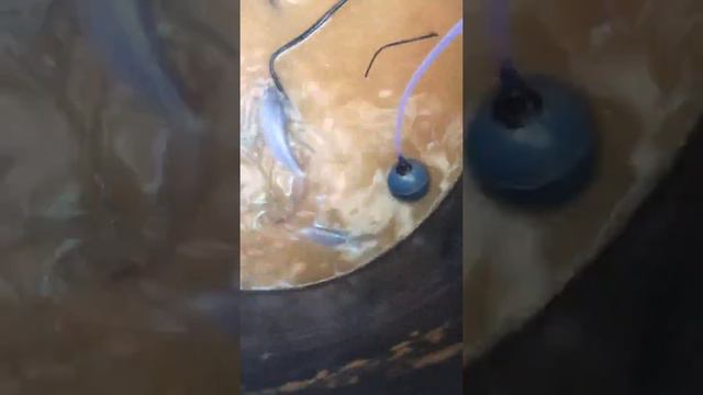 8199397b9c70a6b0966cb2586f44093c