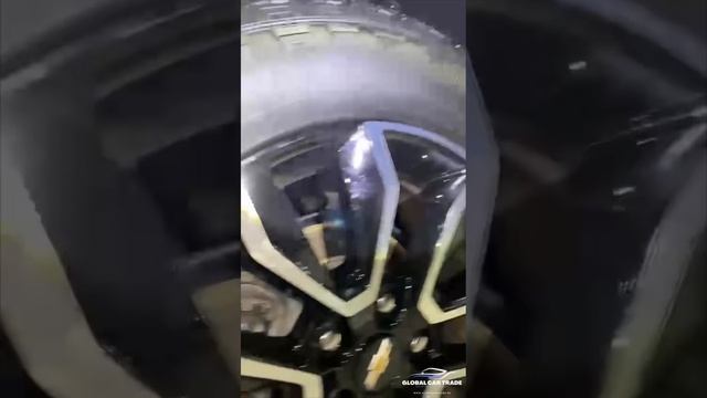 Спортивная Ласточка