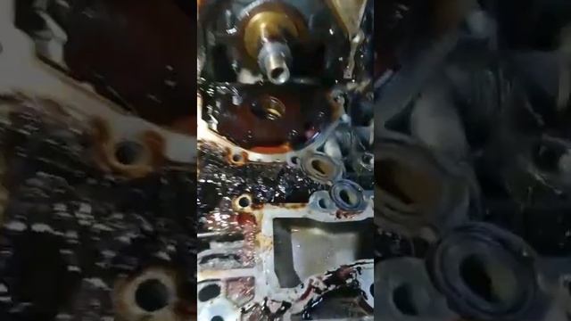 Райский минимализм