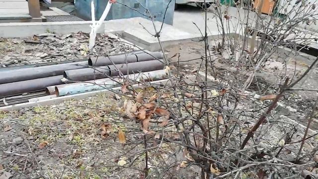 Закрытие дачного сезона 2020.