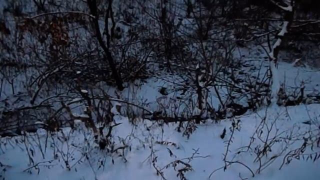 Saveliy Ad КОНFЛИКТ КОЛИ И АРТЁМА. КАК ГРАНДЕНИКО ОТГОНЯЕТ ОТ САМВЕЛА ЛЮДЕЙ. НАДЯ ХОЧЕТ ВТОРУЮ НОГУ
