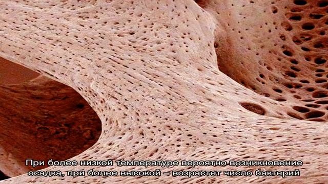 Что такое ДПИД утренней мочи