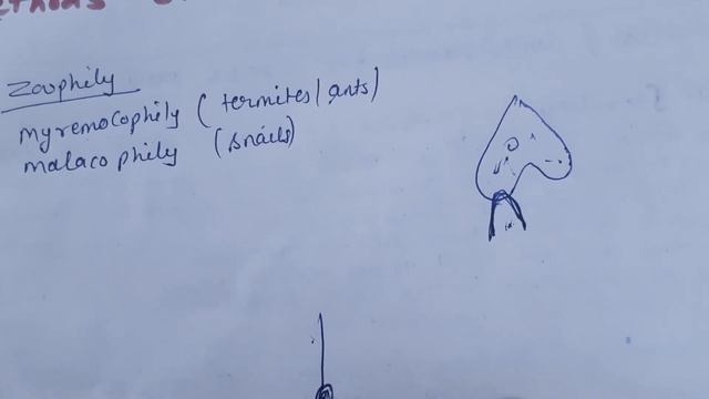 BIOLOGY//CLASS-12// ADAPTATION OF CROSS POLLINATION