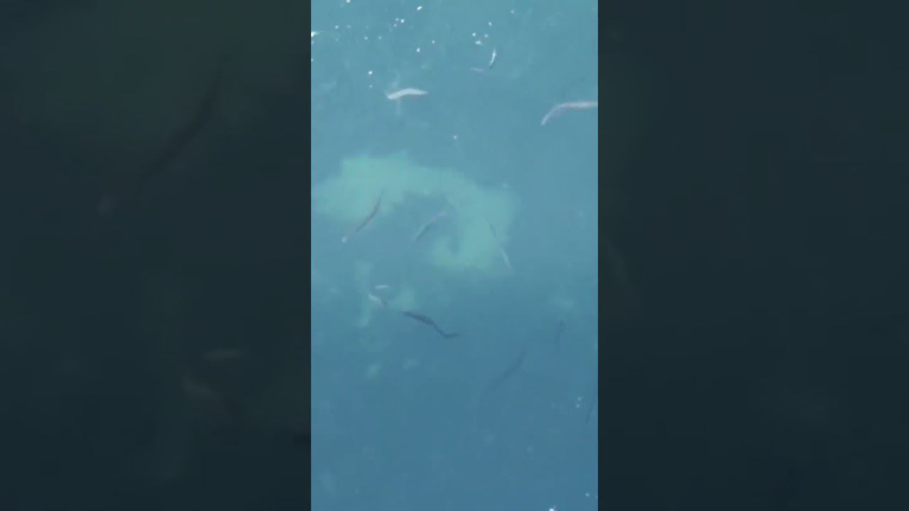 Bdf30c6f38958b46a2edd87ebdb45de0