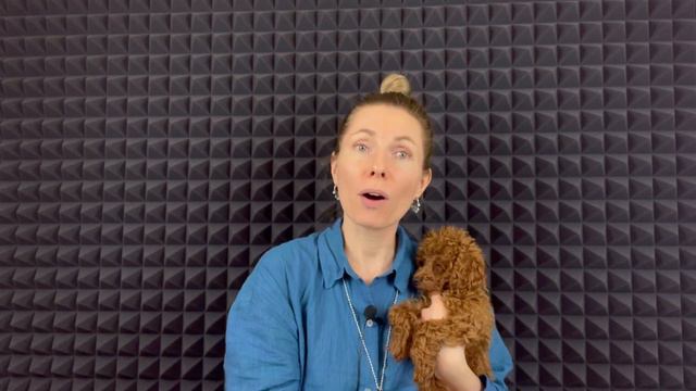 Эфирные масла для животных I Ксения Шардт I Ароматерапия