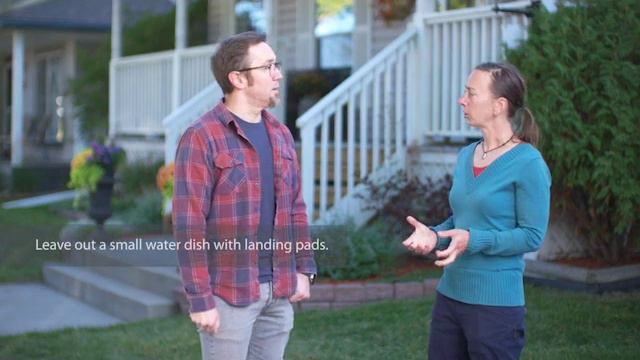 City Of Calgary - Yardsmart - Pollinator Friendly Yards