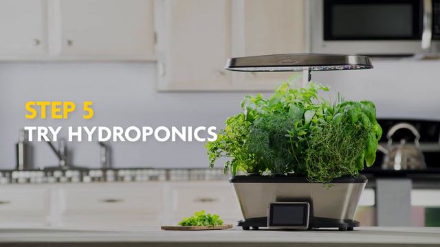 Top Tips For Growing Indoor Plants