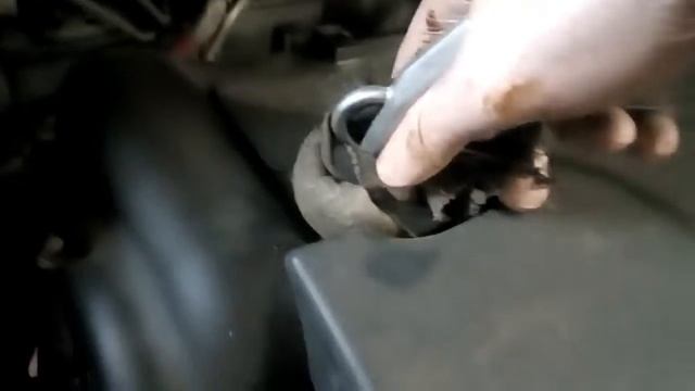 Грибные хороводы