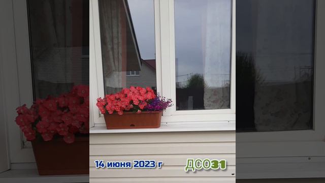 Df50b529ec09b9a17af9ca976dc1308d