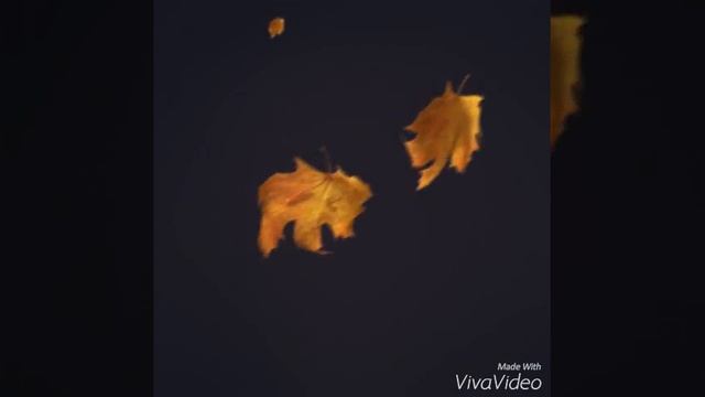 14df9f6ae57d47eb3eb8af430ec07520