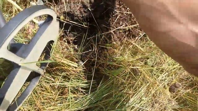 Фортуна М-2 Fortuna M-2  Пинпоинтер GC-2007