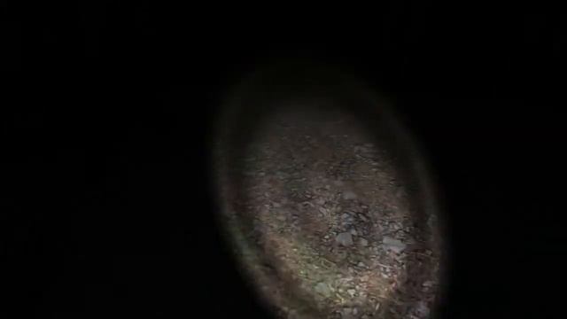 Байки интернета №2 