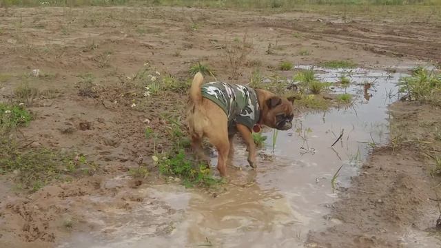 8d92b97b46c3d1863e169458ec74e26a