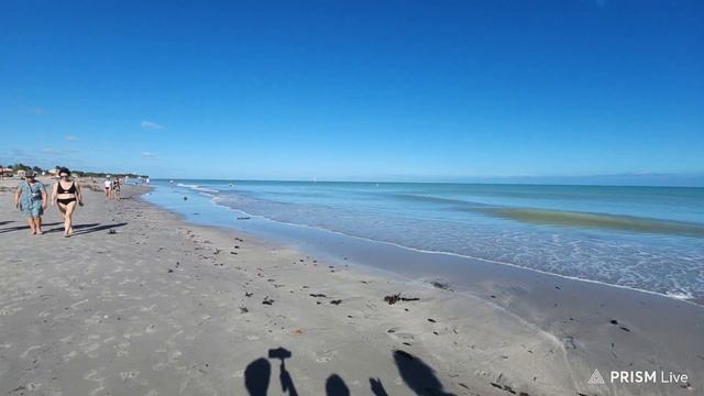 Стрим из Майами. 17 декабря 2023