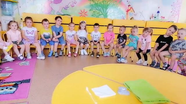 Сиреневая (старшая группа). Познание 