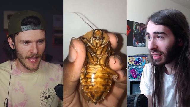 Reacting To Insane Bug Bite Videos W/ @penguinz0