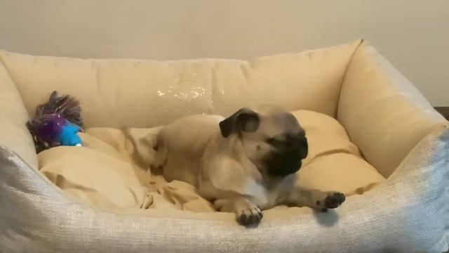 44c07ec5243e081d3fa19b04f0151f13