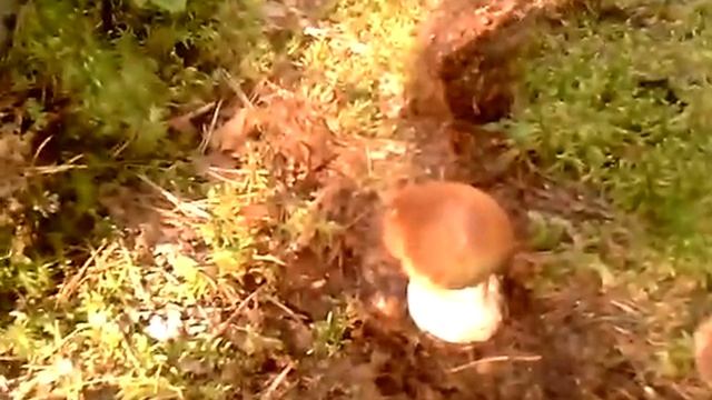 380166a058eec1cb872a02d2f7466ade