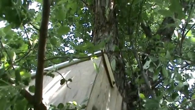 Как снять рой