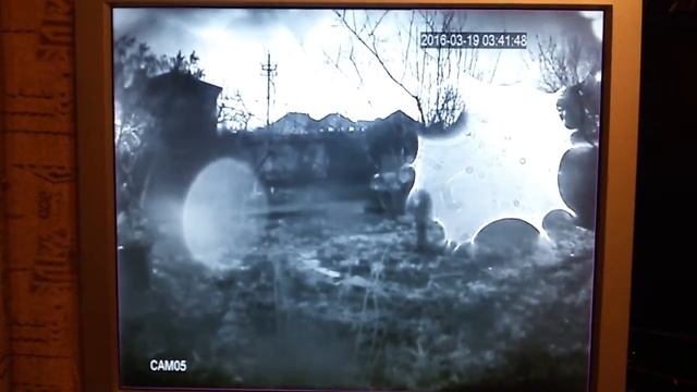 Мобильные Новинки: Обзор последних технологий 