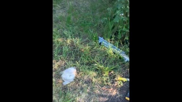 Купить Оцинкованную Беседку Агросфера Астра г  Воронеж Зеленая