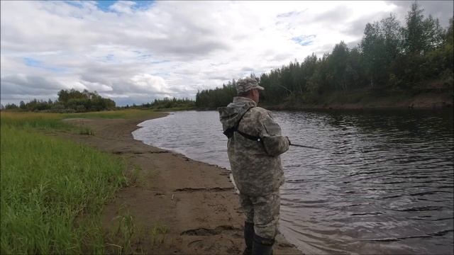 Отсечь шнурков!  Щучьи резиновые монстры  Strike Pro Giant Pig Tail  &  Gator Catfish