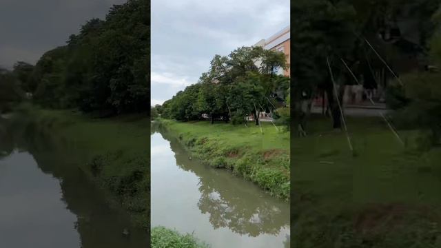 Интересности Бразилии #2