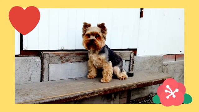 8c17b0c12349cb6287762931f8441391