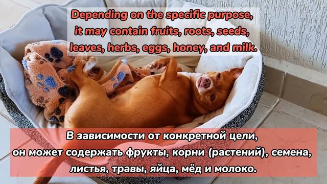 English-Russian Lesson Jamu Healing Drink, Английскo-Русский Урок Джаму Лечебный Hапиток, Speak