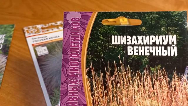 Злаки, которые буду выращивать в этом году #сад #декоративныезлаки #злакиизсемян