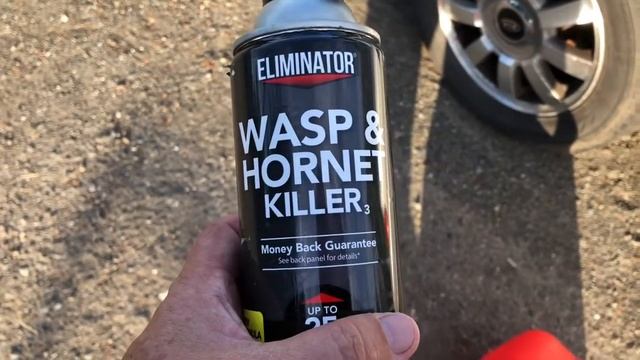 Diagnosis Bees? ? 2002 Kia Optima