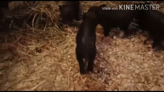 80073ebf95e8ad758923114e1d6b9cd8