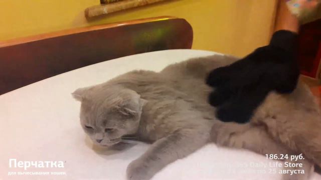 перчатка для чесания кошки