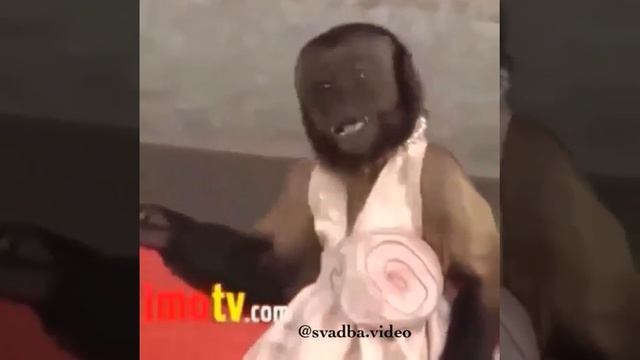 F1990f81ac009b11e439e0099e5f6c32