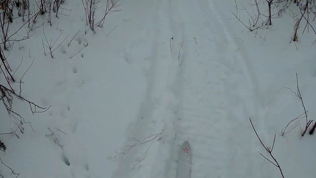 Армейские лыжи. Отдача в тёплую погоду.