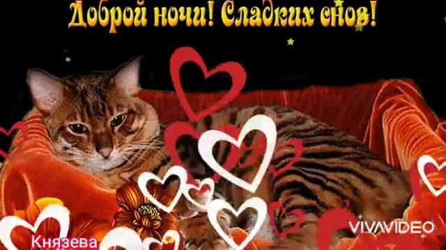 9ab164a73b67ecab7a56066d861c10c8