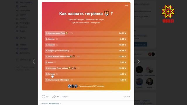 Бенгальского тигрёнка, родившегося в Чебоксарах, назовут Лео