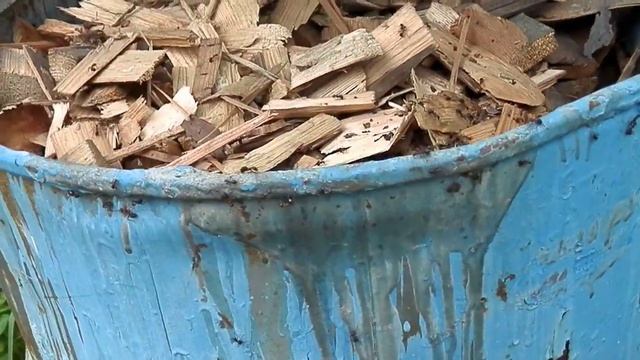 Муравейник в бочке