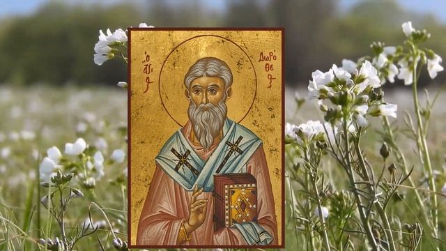 Волшебные Пучки