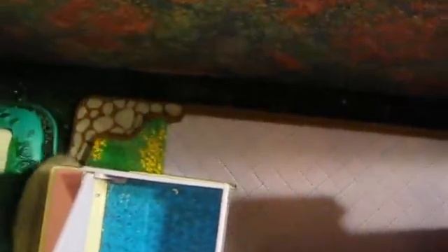 Hamster Playground #2