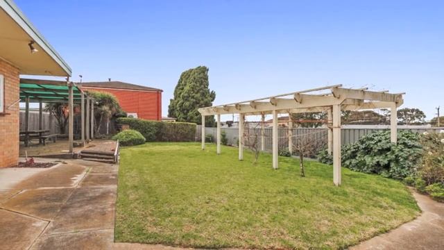 F2bc9800867e6518e4be149f20455ba2